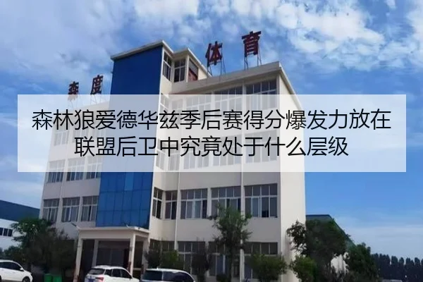 森林狼爱德华兹季后赛得分爆发力放在联盟后卫中究竟处于什么层级 | kaiyun